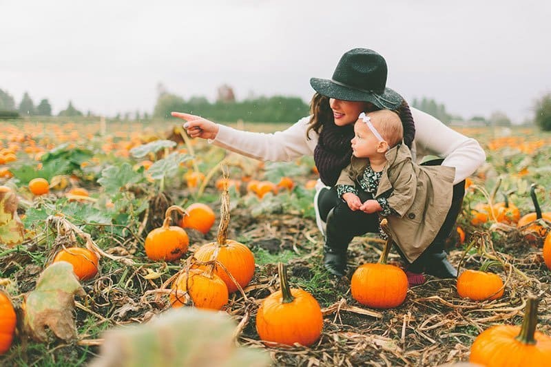 Maryland Pumpkin Patches