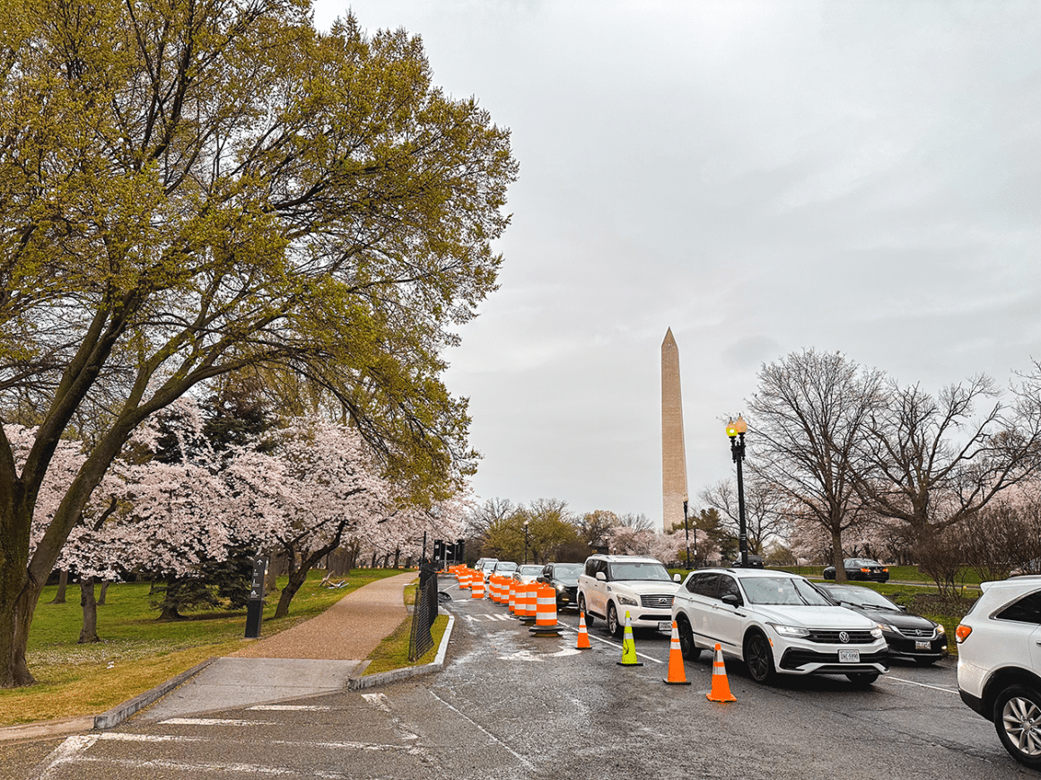 Traffic near the Tidal Basin during Cherry Blossom season- credit Keryn Means