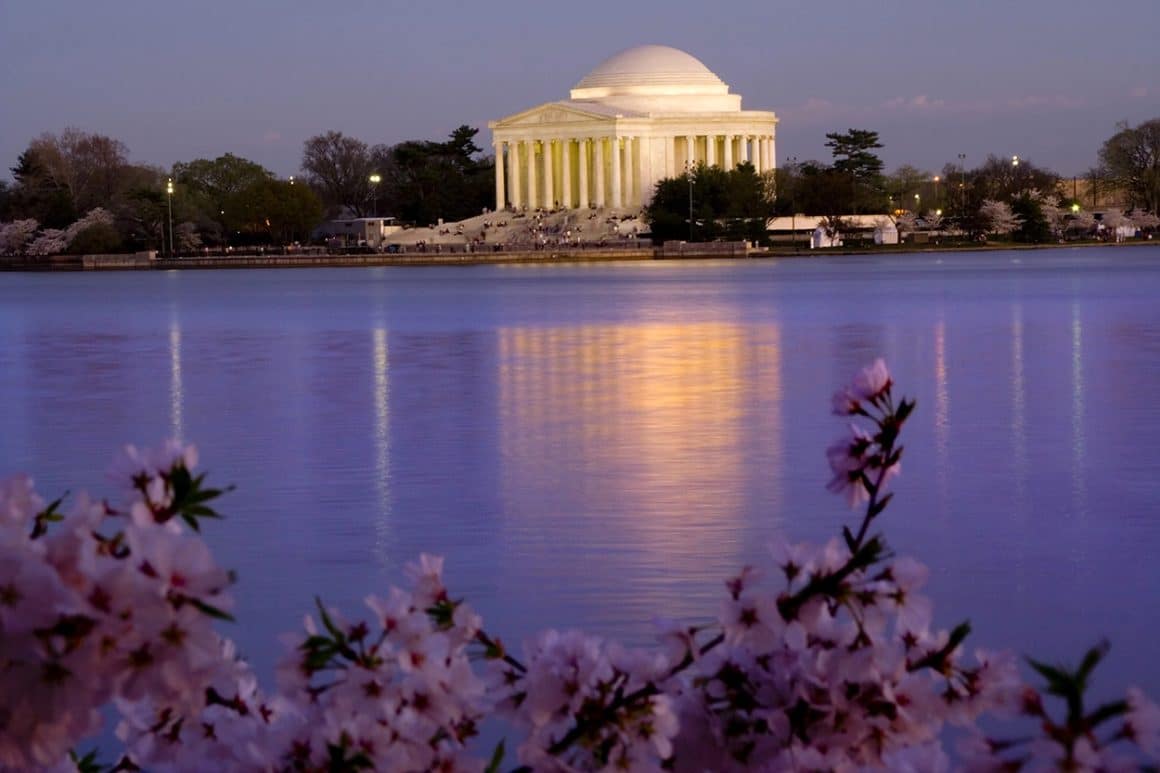 11 Best & Unforgettable Washington DC Cherry Blossoms Tips - Washington DC Cherry Blossoms at NIght on the Tidal Basin