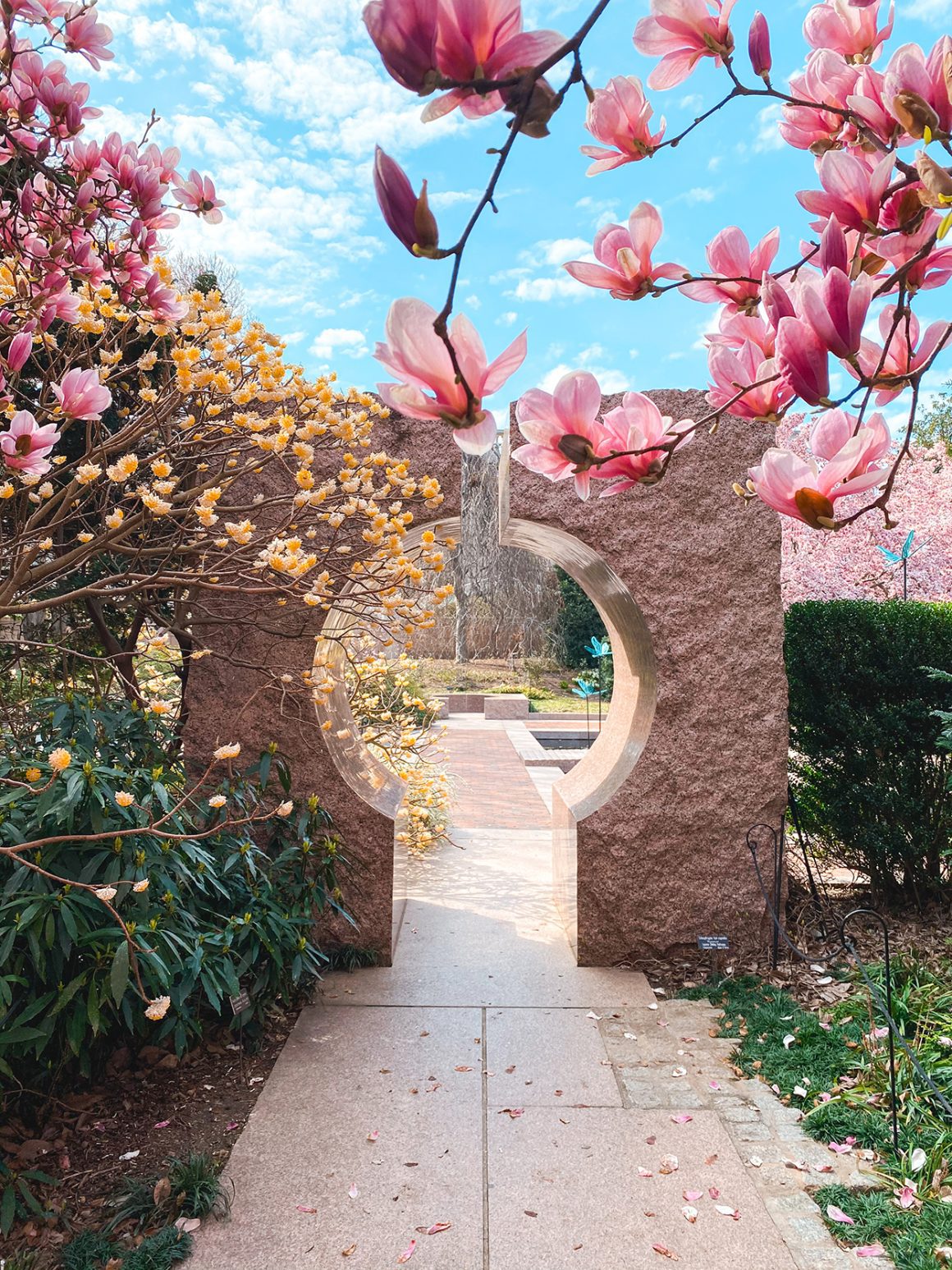 Enid A. Haupt Garden - Washington DC gardens