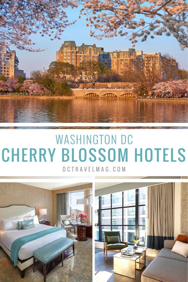 Where to stay in Washington DC during the Cherry Blossom Festival