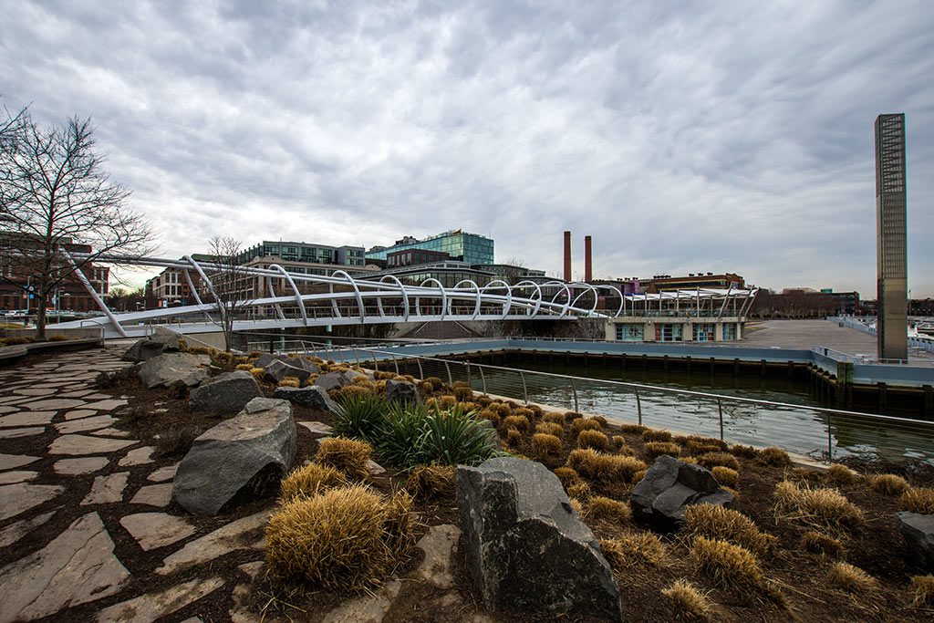 The iconic pedestrian bridge gracefully arches over the water in Yards Park, Washington DC, connecting vibrant green spaces and offering scenic views, making it a popular spot for things to do in DC.