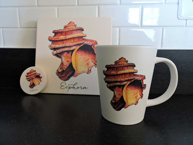 Calvert Marine Museum