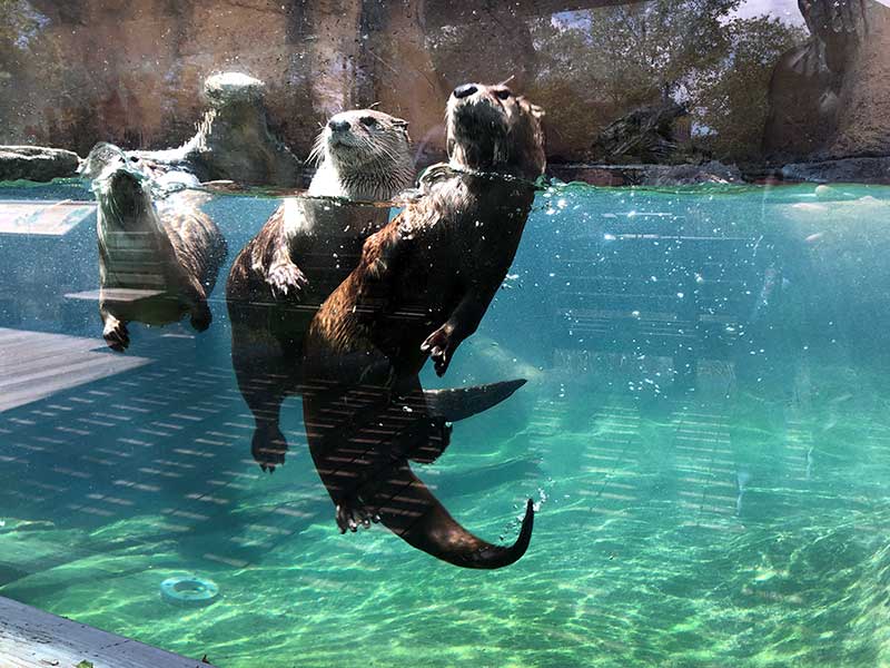 Calvert Marine Museum