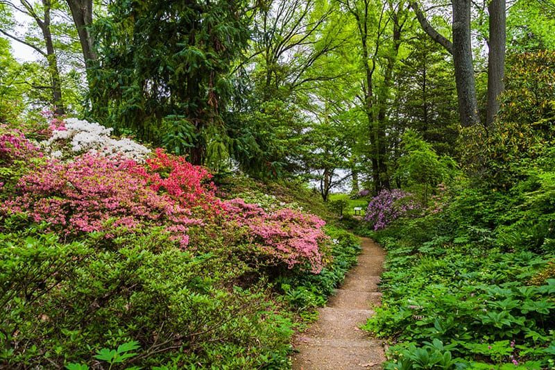 Historic London Town and Gardens