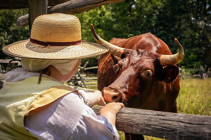 Historic St Marys City