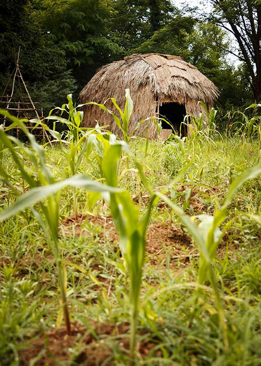 Historic St Marys City