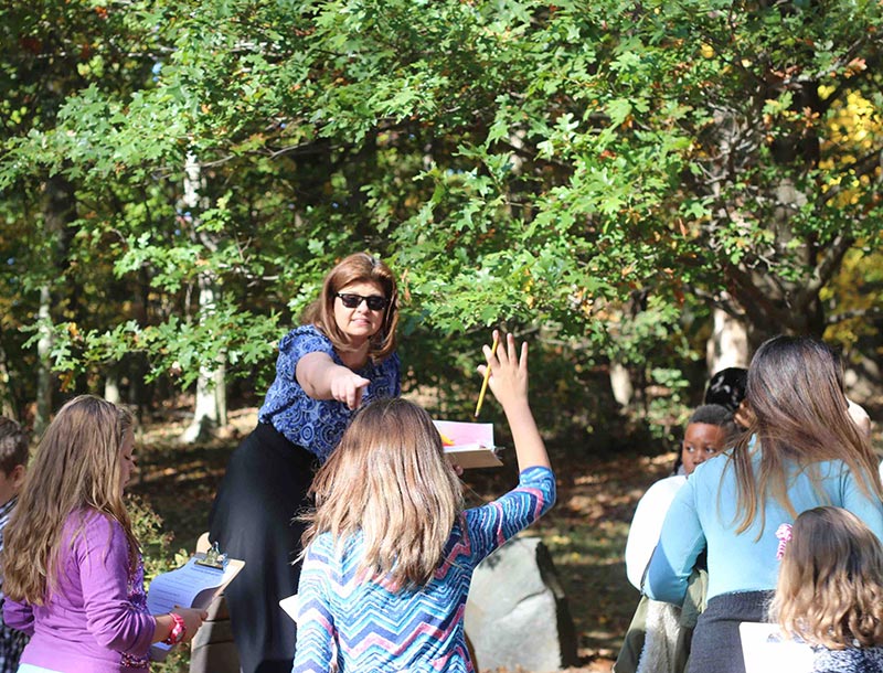 Joseph Beuys Sculpture Park University of Maryland
