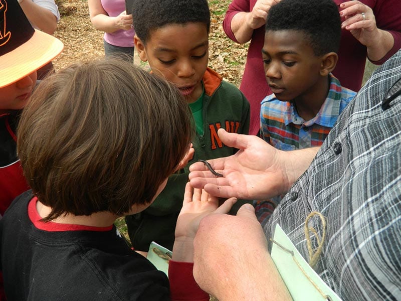 Joseph Beuys Sculpture Park University of Maryland
