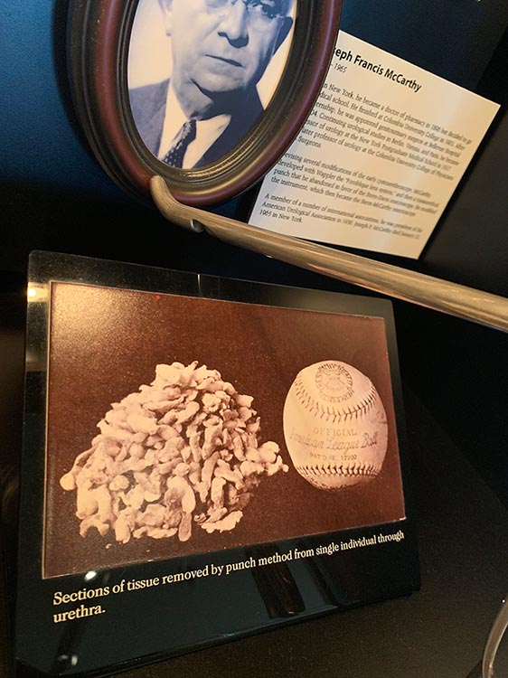 William P. Didusch Center for Urologic History American Urological Association