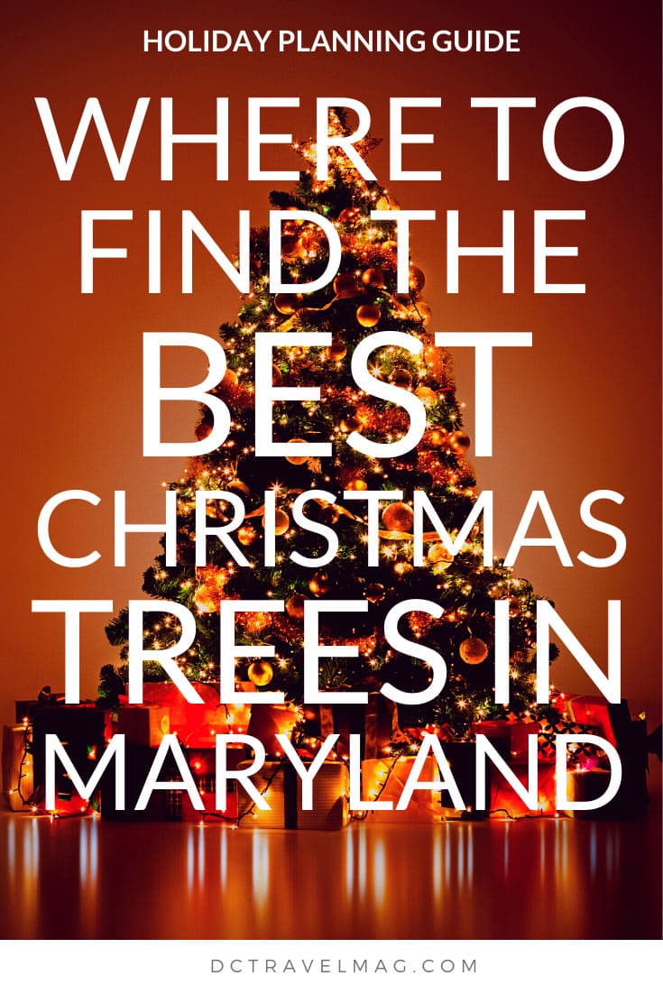 Christmas Tree Farms in Maryland
