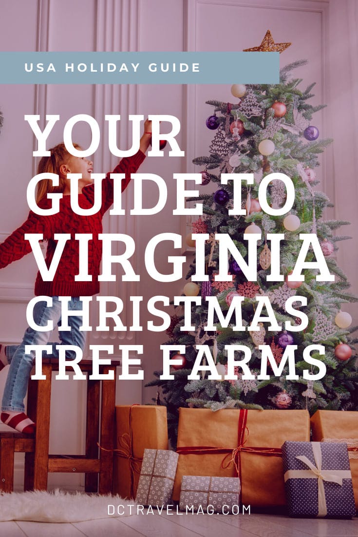 Christmas Tree Farms in Virginia
