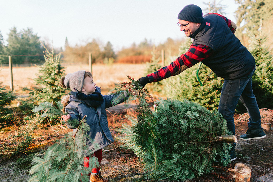 Christmas Tree Farms in Virginia