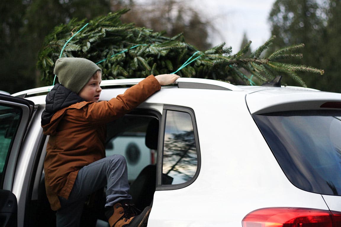 25+ Beautiful Cut Your Own Christmas Tree Farms In Virginia - Helping tie the perfect Christmas tree to the car