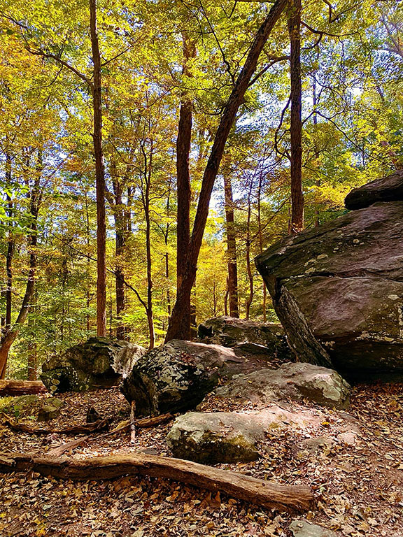 Cunningham Falls State Park