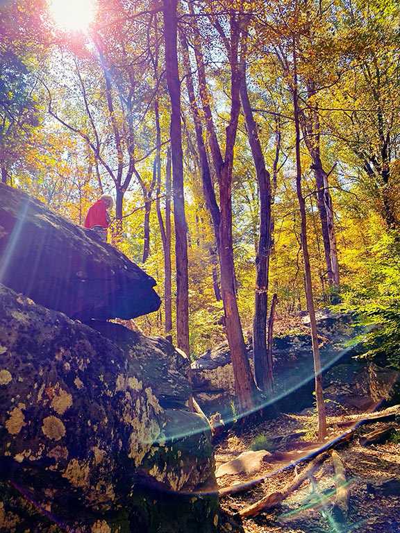 Cunningham Falls State Park