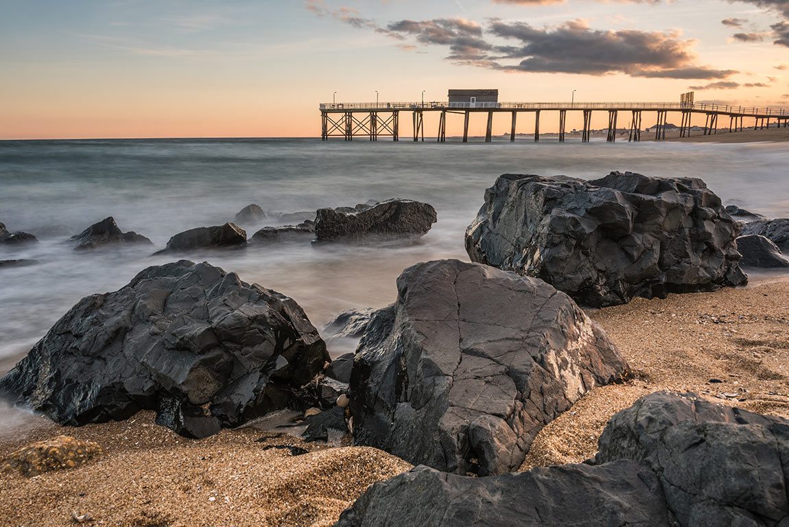 East Coast Whale Watching