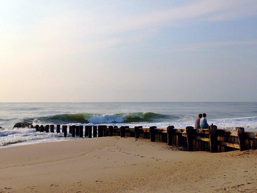 East Coast Whale Watching