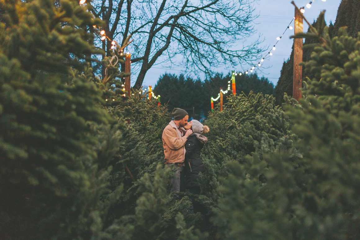 25+ Beautiful Cut Your Own Christmas Tree Farms In Virginia - Take fabulous couple photos surrounded by Christmas trees