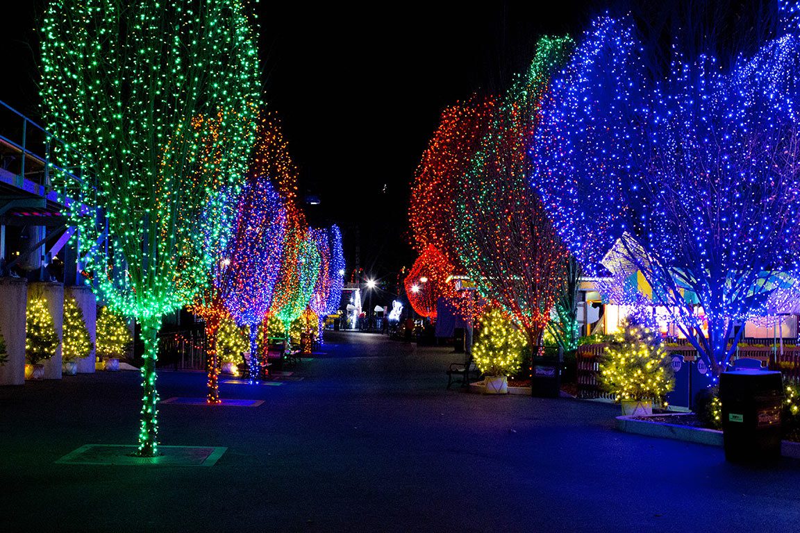 A festive night view of Hersheypark at Christmas, with trees illuminated by colorful Christmas lights.