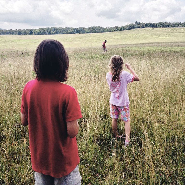 Shenandoah National Park Camping