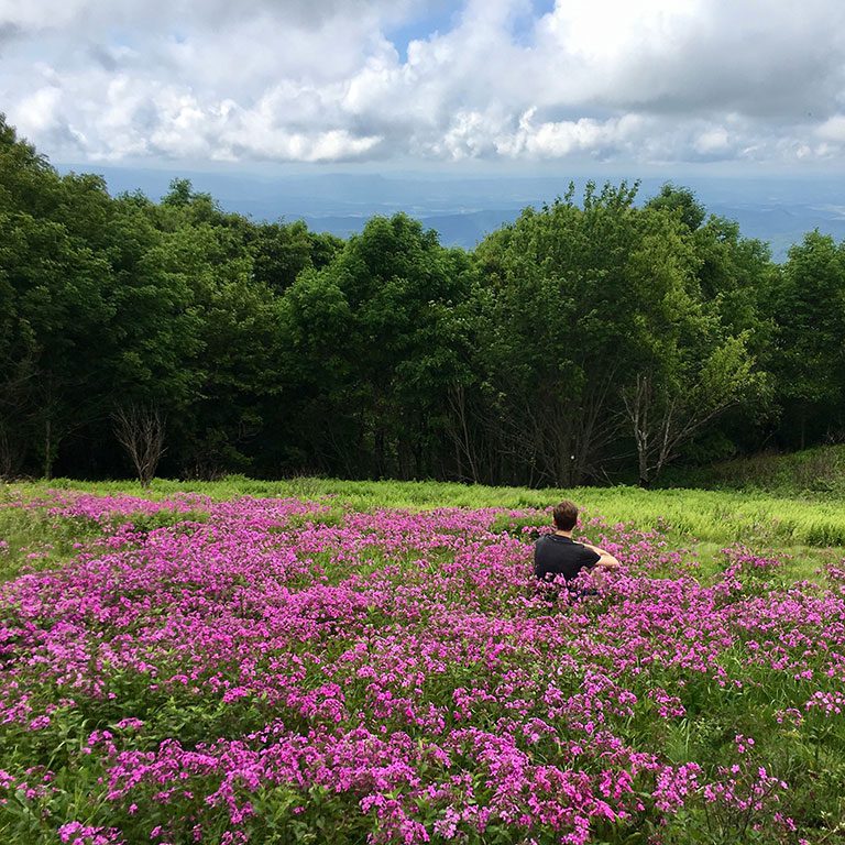 Shenandoah National Park Camping