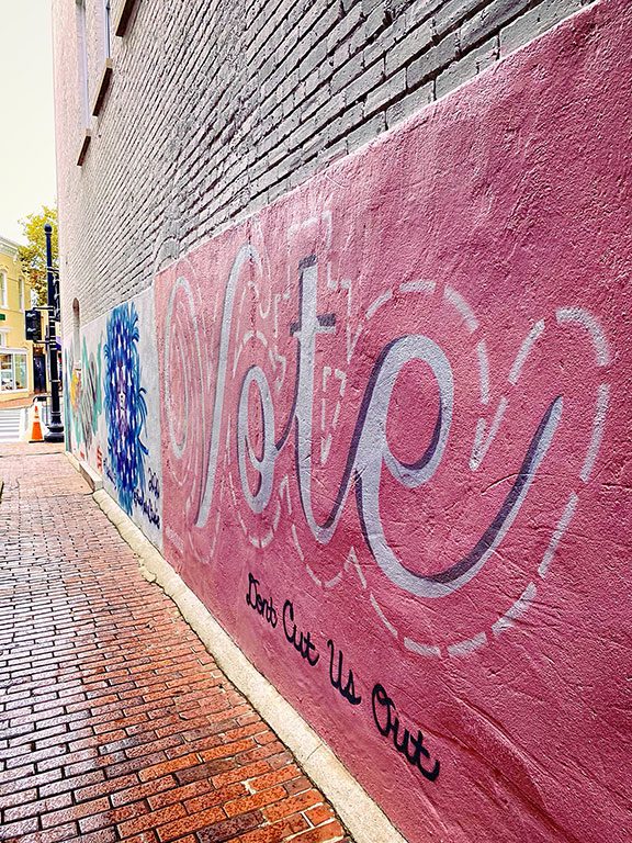 Georgetown - 51 Murals DC 51st Statehood Murals