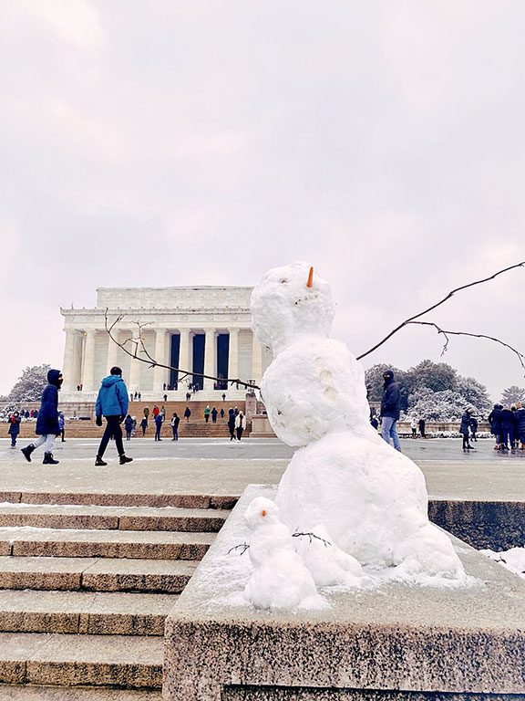 Washington DC Winter Snow