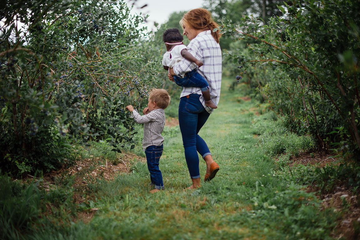 Blueberry Picking in Virginia