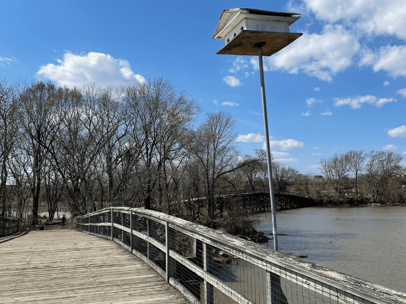 A scenic view of the footbridge connecting Kingman and Heritage Islands, offering access to hikes near dc and Hikes in washington DC. This bridge is a key part of the trail system, allowing visitors to explore the natural beauty of these islands and enjoy some of the best hikes near dc. It's a popular spot for Washington DC hikes, providing stunning views of the surrounding wetlands and the Anacostia River.