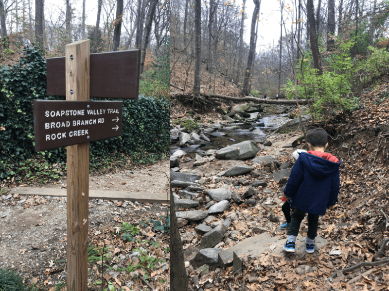 The lush, wooded path of the Soapstone Valley Trail winds through a serene natural area in Washington DC, offering a surprisingly secluded experience for Hikes in washington DC. This hidden gem provides accessible hikes near dc and is considered one of the delightful best hikes near dc for those seeking Washington DC hikes within the city limits.
