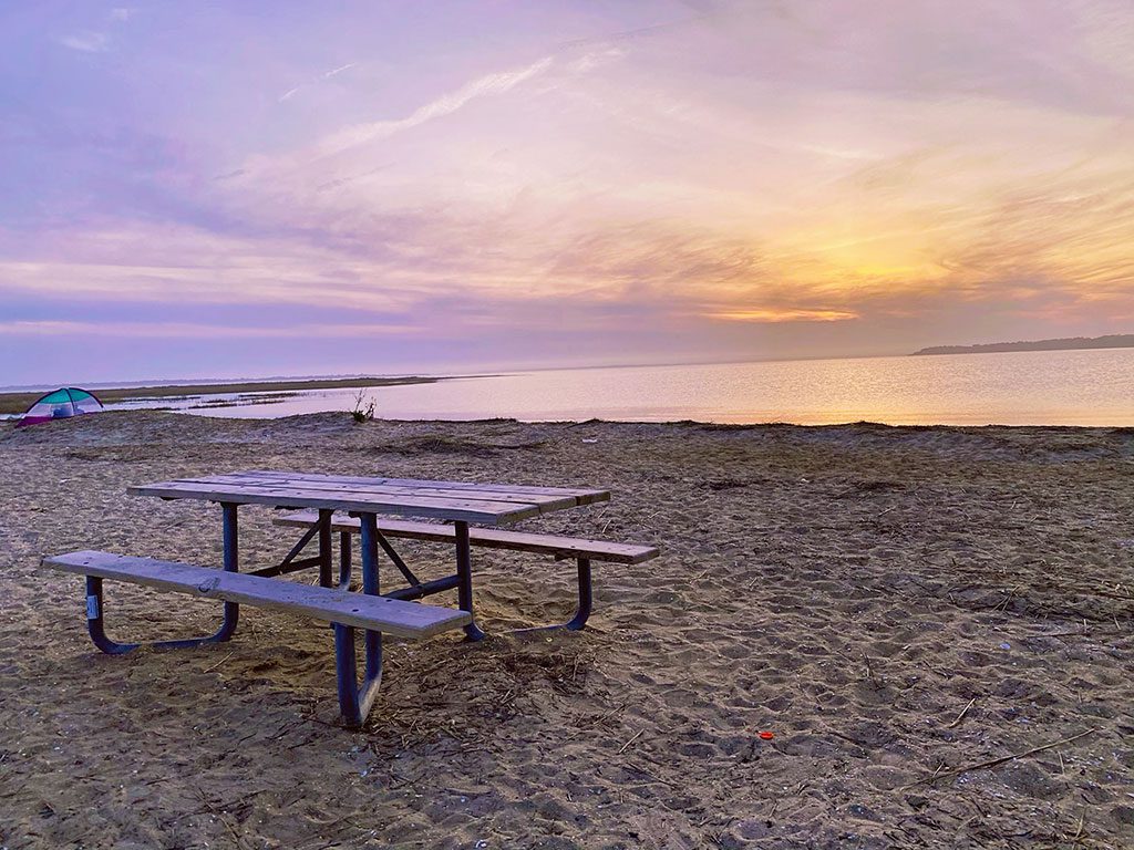 Chincoteague National Wildlife Refuge Wildlife - Toms CoveWashington Harbour Ice Skating Rink in Washington DC - photo credit Keryn Means publisher of DCTravelMag.com and Washington DC travel expert