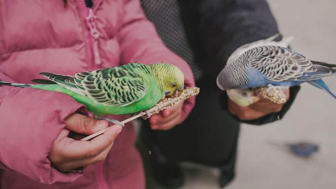 Newport News SPCA in Virginia