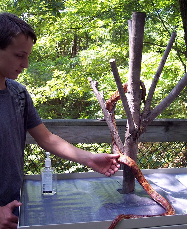 Virginia Living Museum in Newport Beach VA