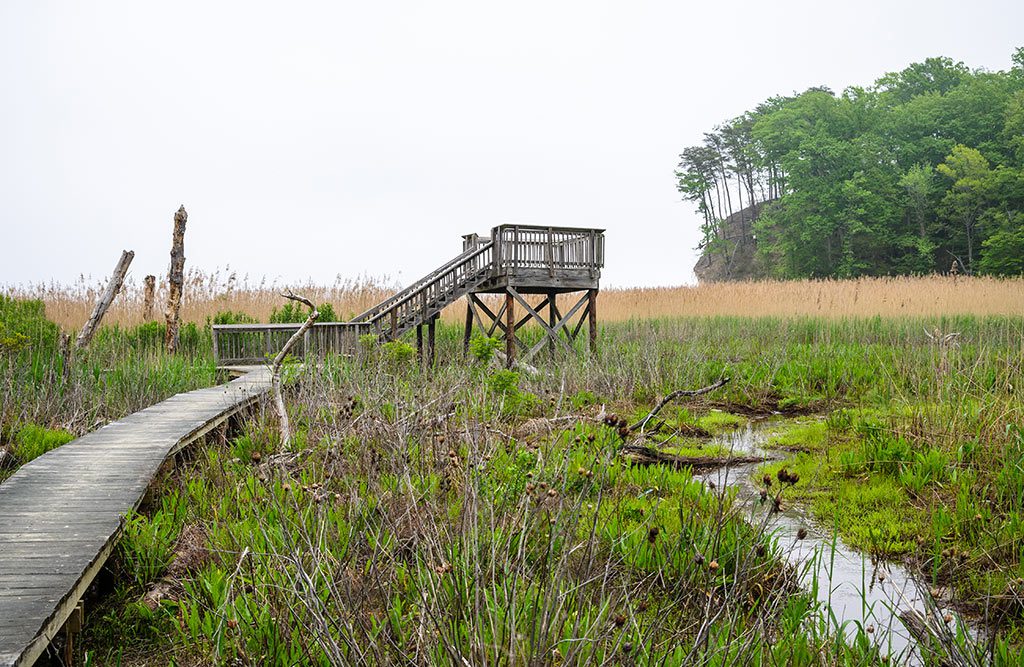 Westmoreland State Park along toe Potomac River in Virginia