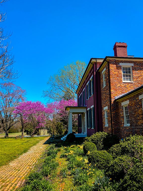 Surry VA- Chippokes Plantation State Park