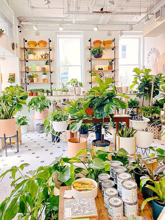 Little Leaf shop in Logan Circle U Street Washington DC