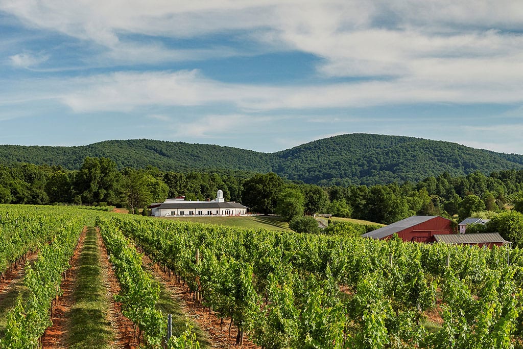 Barboursville vineyards in Charlottesville Virginia