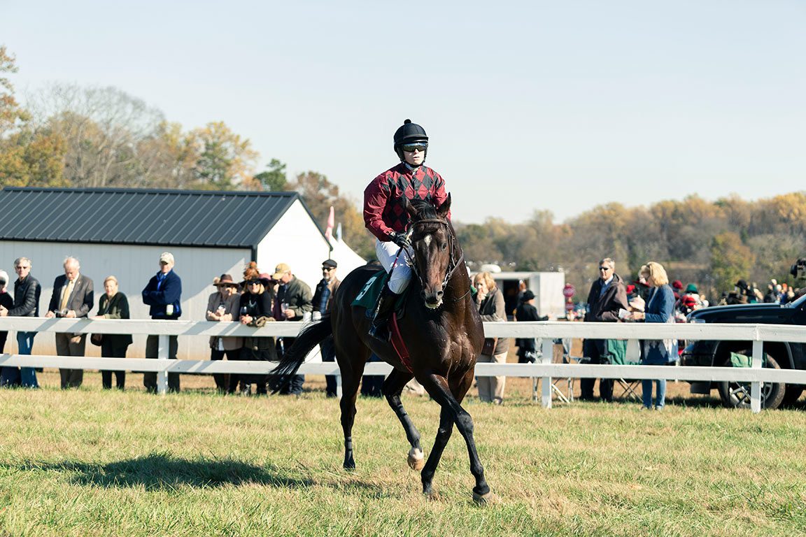 Montpelier in Virginia