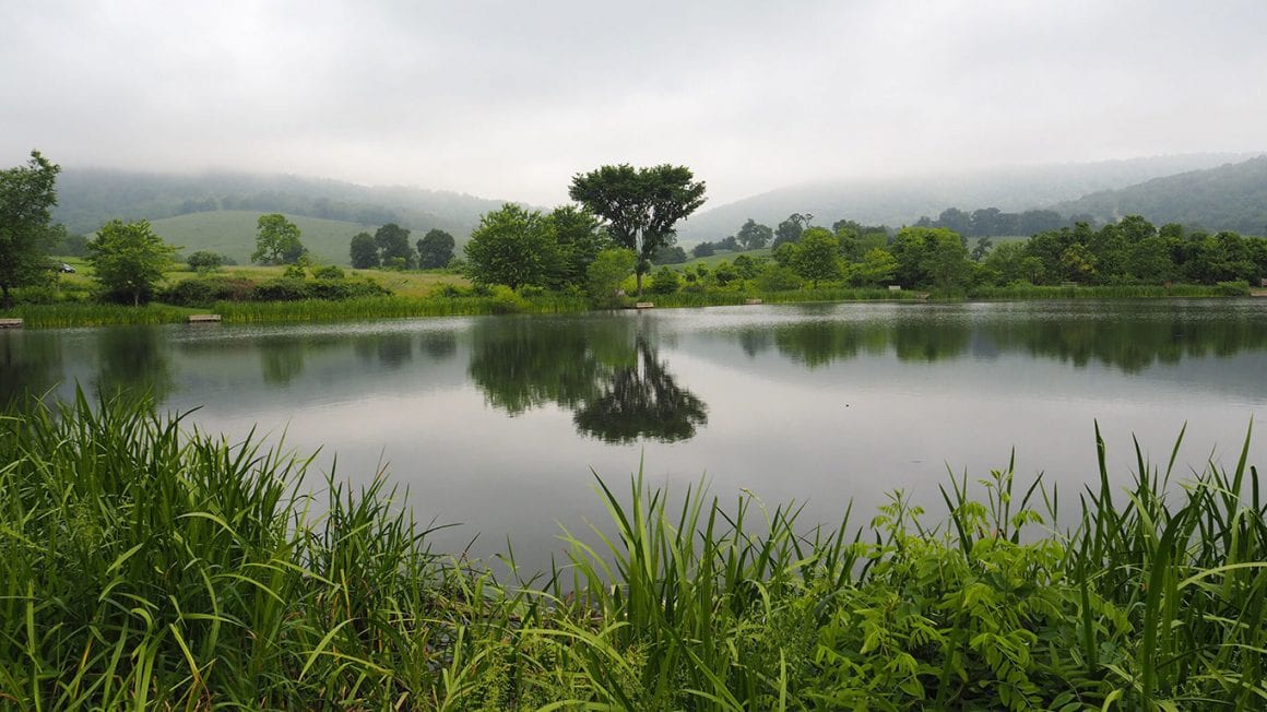 Sky Meadows State Park in Virginia