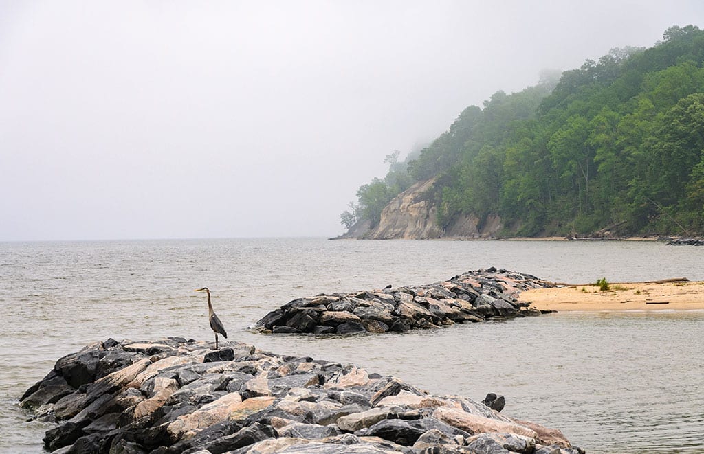 Westmoreland State Park along the Potomac in Virginia