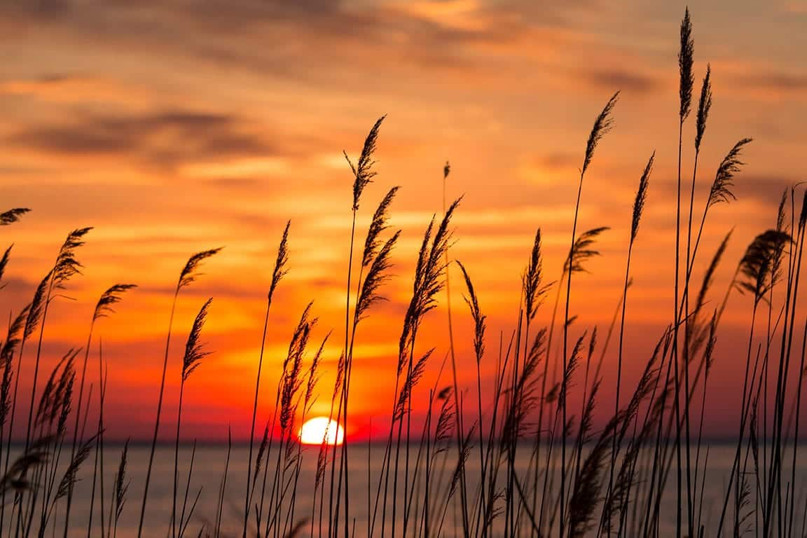 Chesapeake Bay beaches in Maryland