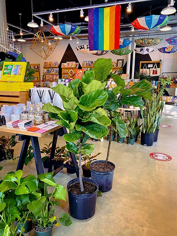 Navy Yard DC: Top Spots to Eat, Drink & Explore by the Water - Steadfast Supply DC in Washington Navy Yard