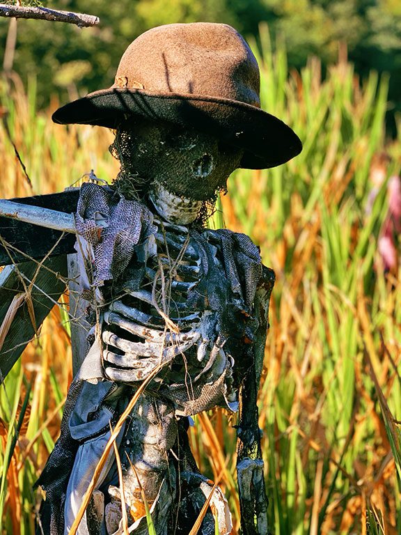 Ashland Berry Farm Halloween- photo credit Keryn Means publisher of DCTravelMag.com