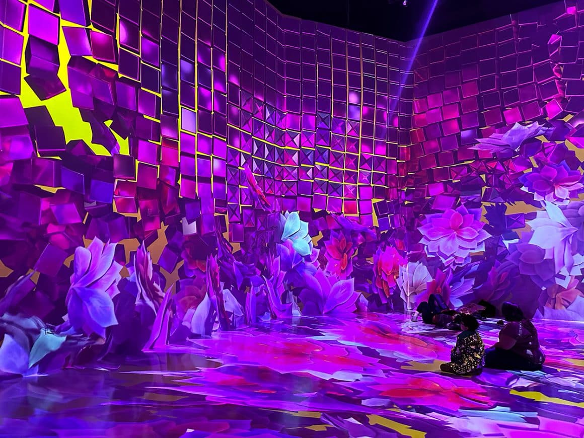 11 Best & Unforgettable Washington DC Cherry Blossoms Tips - Artechouse Cherry Blossom exhibit