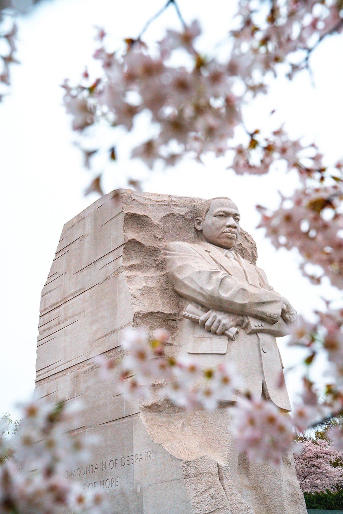 10 Amazing Ways to Enjoy DC Cherry Blossoms Season in 2025 - MLK Jr. Memorial during cherry blossom season in D.C.