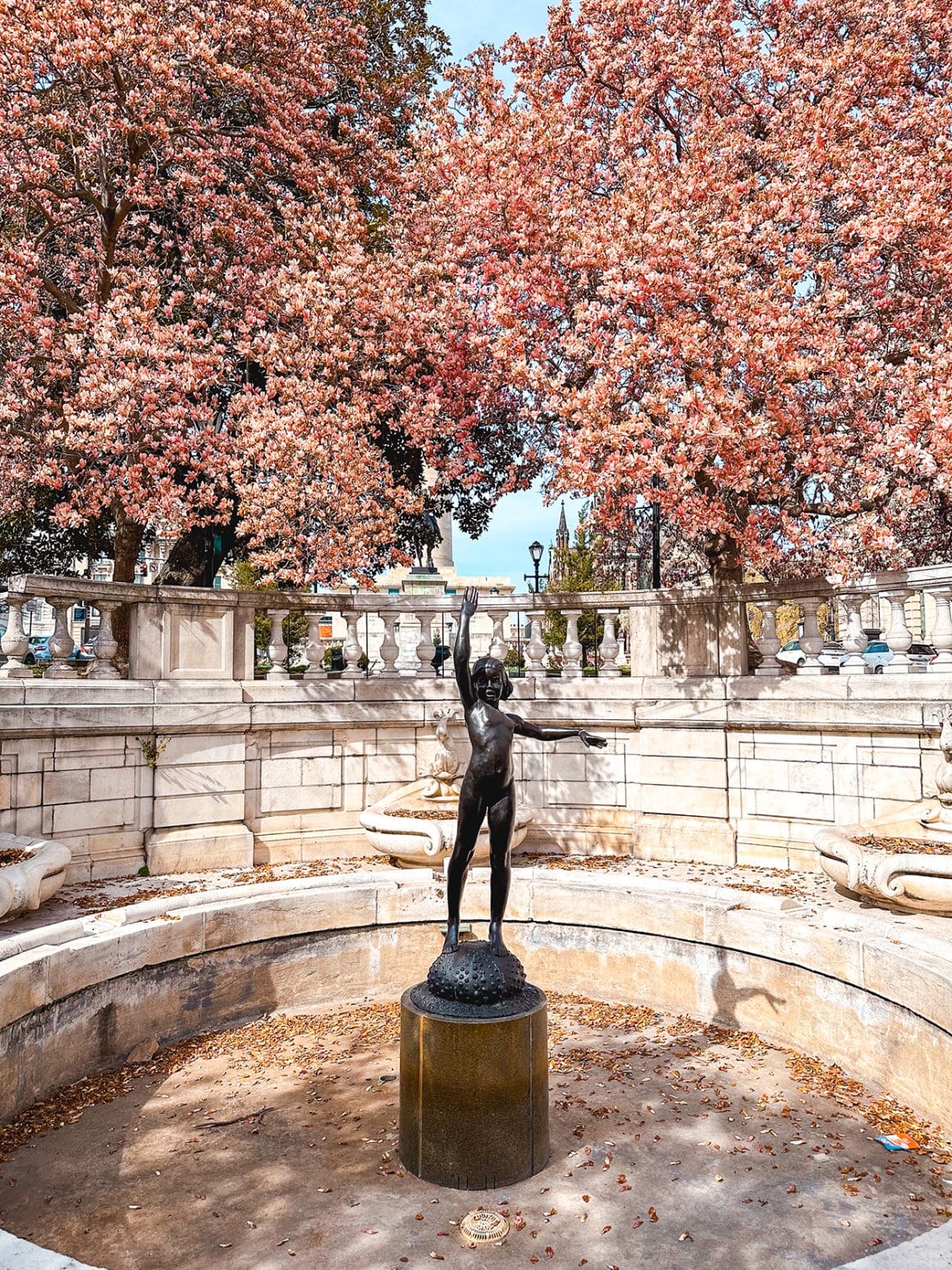 Mount Vernon Baltimore Magnolia blossoms- credit Keryn Means