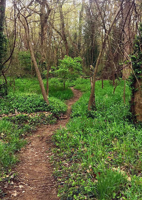 Powhite Park Trail Richmond VA