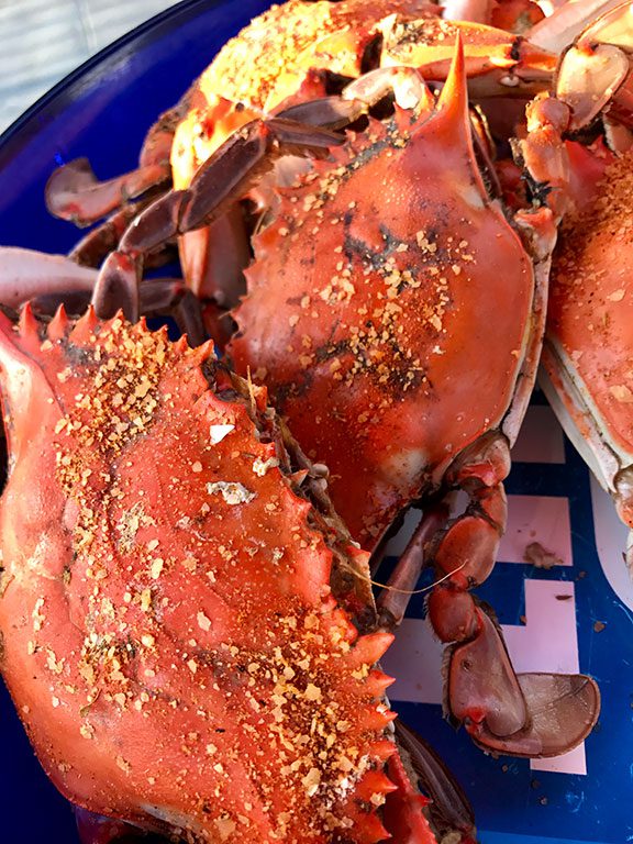 Maryland Blue Crabs