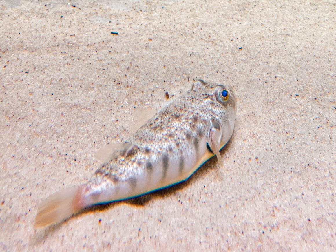 National Aquarium in Baltimore MD